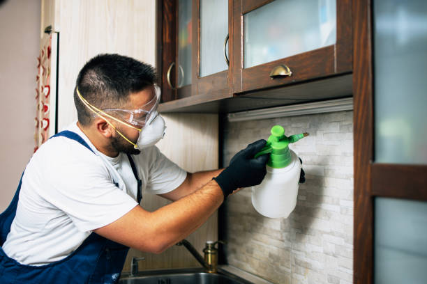 Trusted Sparks, GA Pest Control Experts