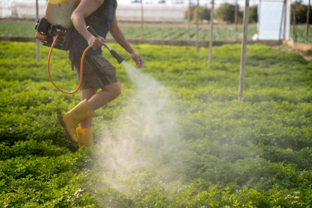 Best Best Pest Control Companies  in Sparks, GA