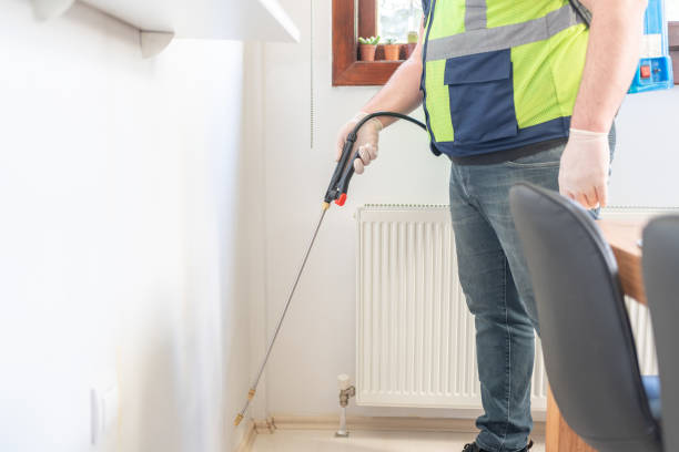Best Wasp Removal Services  in Sparks, GA