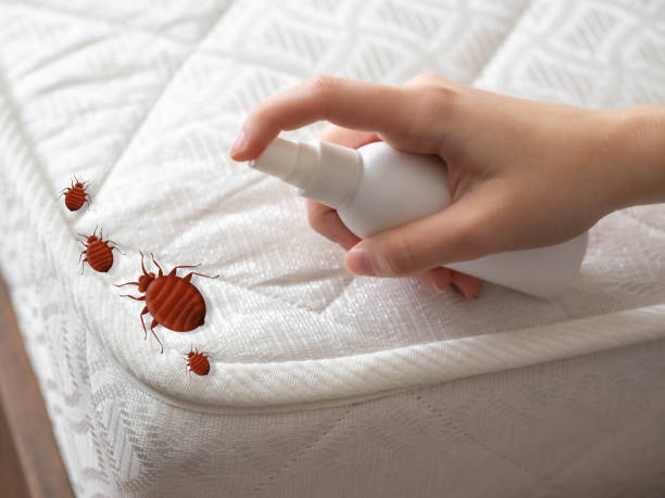 Best Flea Control Services  in Sparks, GA