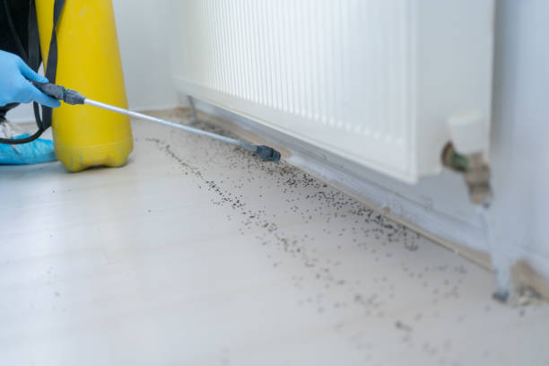 Best Ant Control Services  in Sparks, GA