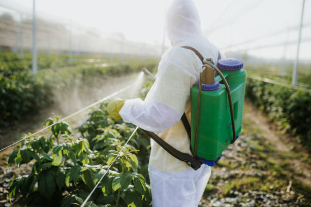 Best Best Pest Control Companies  in Sparks, GA
